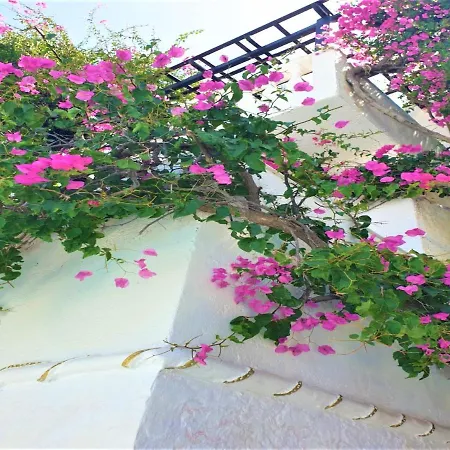 Sunset Paradise In Hersonisos * Hersonissos (Crete)